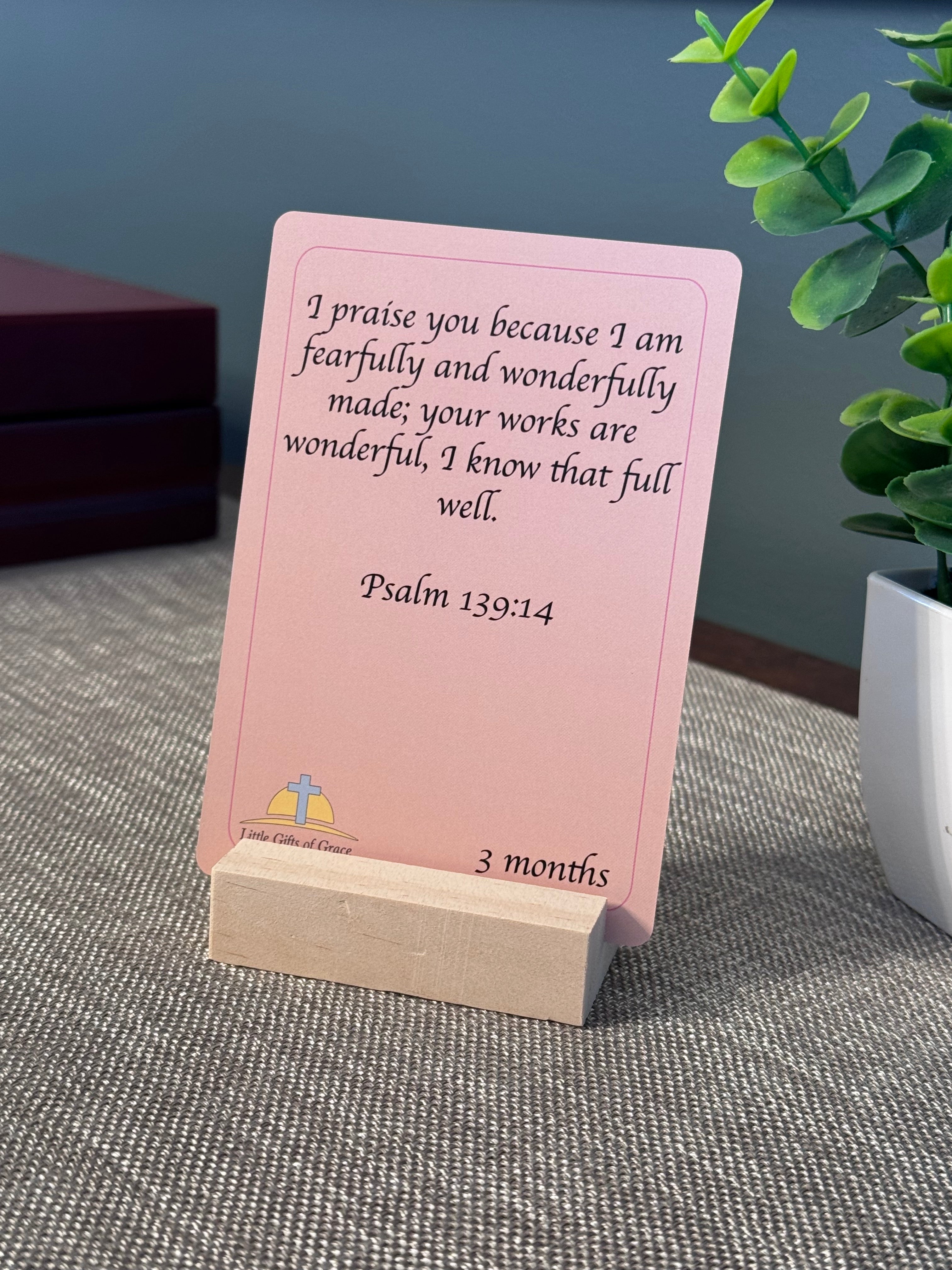 Baby Themed Scripture Cards